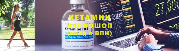 сатива Абаза