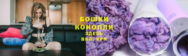 сатива Абаза
