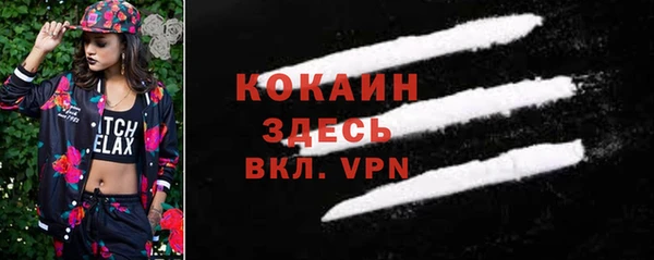 сатива Абаза