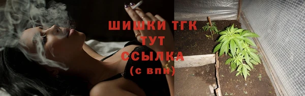 сатива Абаза