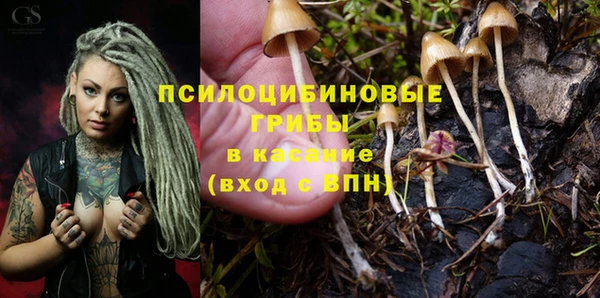 мяу мяу мука Абдулино
