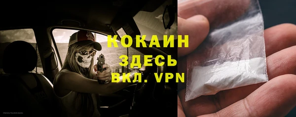 сатива Абаза