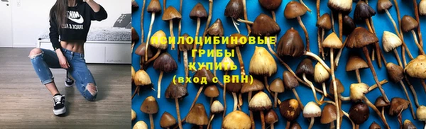 мяу мяу мука Абдулино